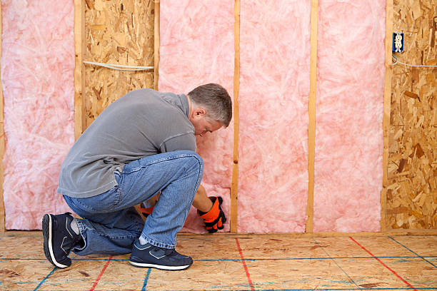 Types of Insulation We Offer in Boyd, TX