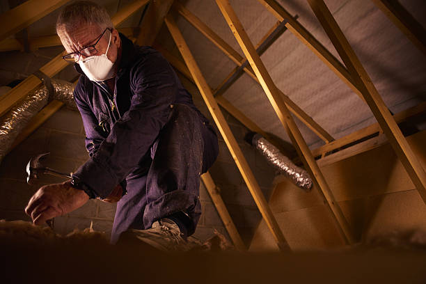 Best DIY Insulation Kits and Guidance in Boyd, TX
