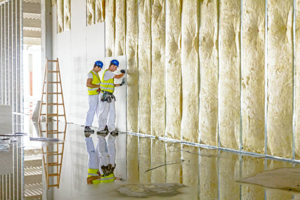 Best Fiberglass Insulation in Boyd, TX